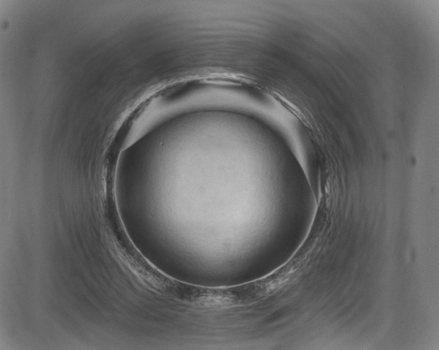 X0000085320350200703091517