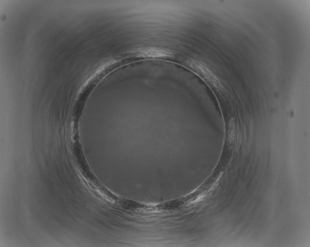X0000085320351200703091517