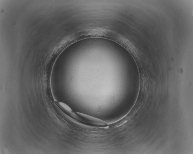 X0000085320354200703091517