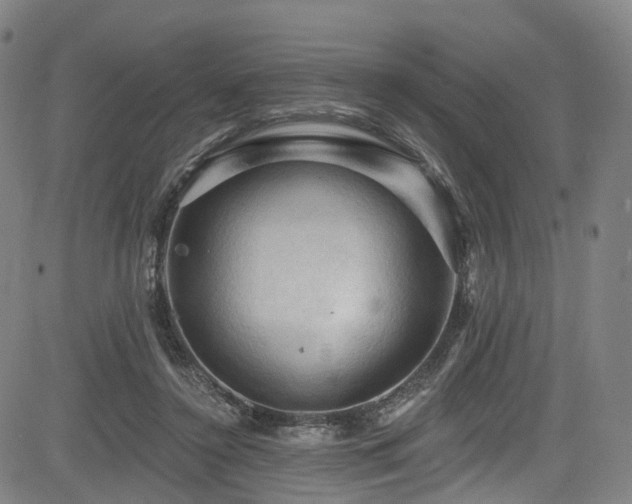 X0000085320356200703091517