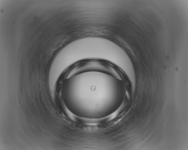 X0000085320362200703091517
