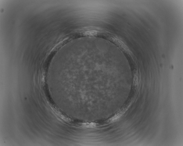 X0000085320363200703091517