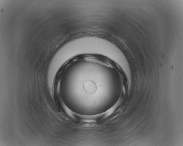 X0000085320364200703091517