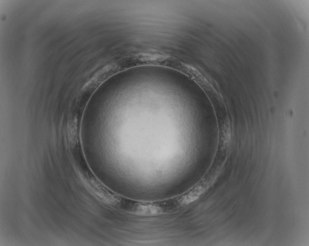 X0000085320376200703091517
