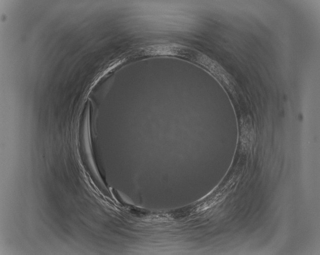X0000085320386200703091517