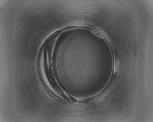 X0000085320387200703091517