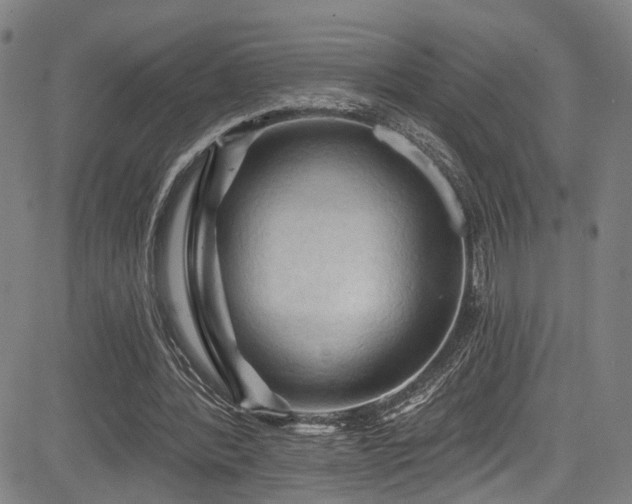 X0000085320388200703091517