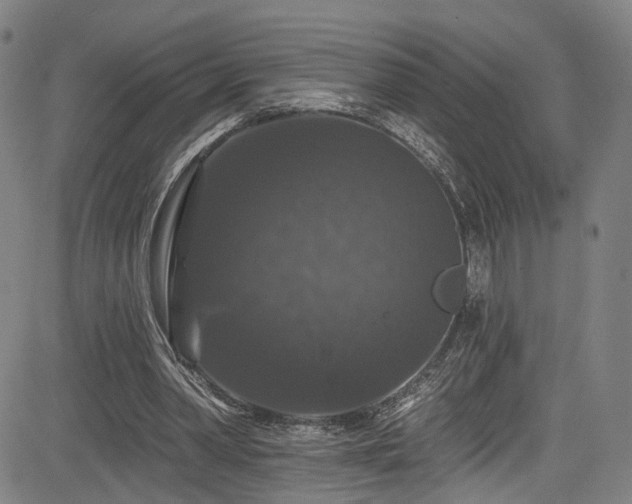 X0000085320390200703091517