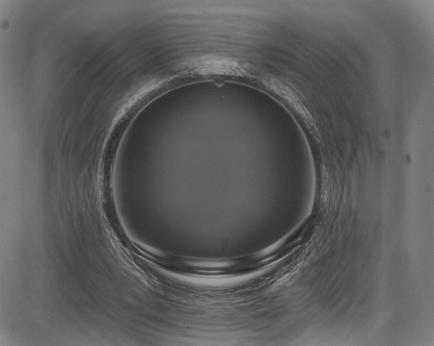 X0000085320391200703091517
