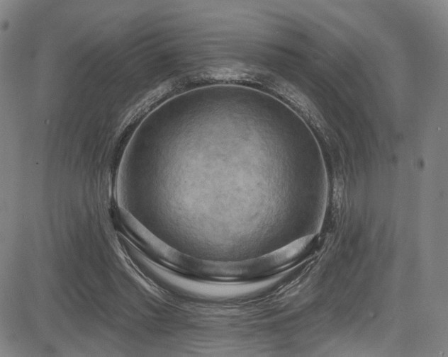 X0000085320397200703091517