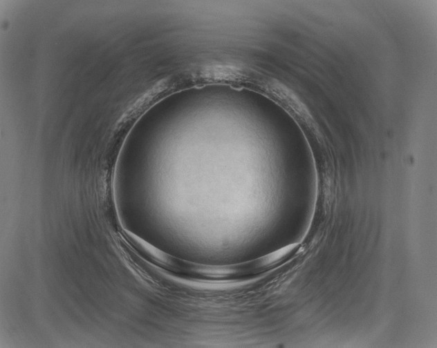 X0000085320401200703091516