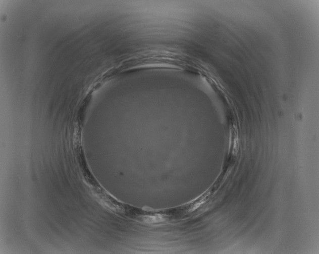 X0000085320411200703091516