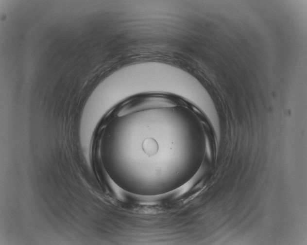 X0000085320412200703091516