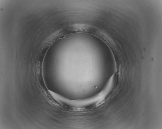 X0000085320413200703091516