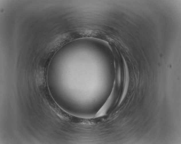 X0000085320416200703091516