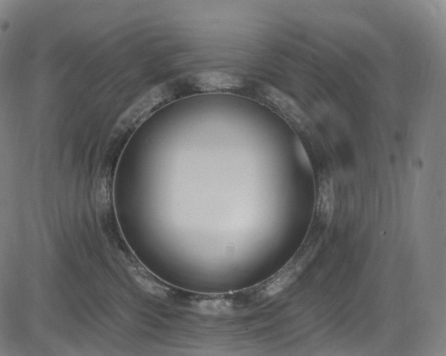 X0000085320426200703091516