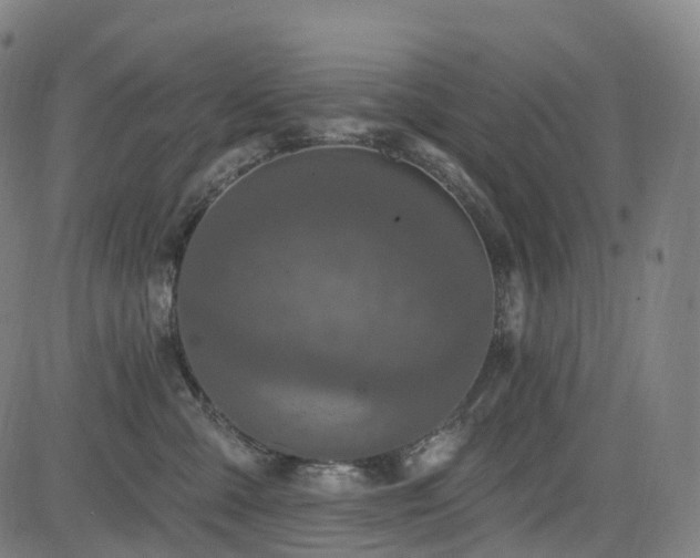 X0000085320427200703091516