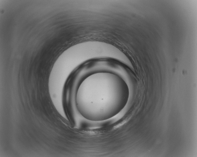 X0000085320432200703091516