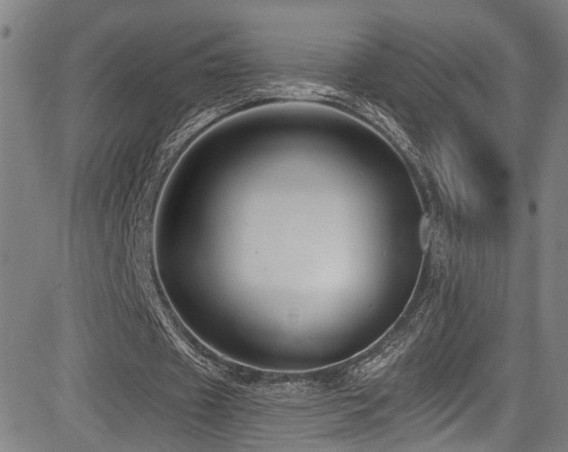 X0000085320433200703091515
