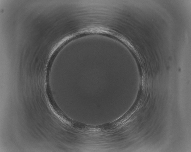 X0000085320438200703091515