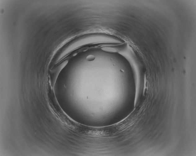 X0000085320440200703091515