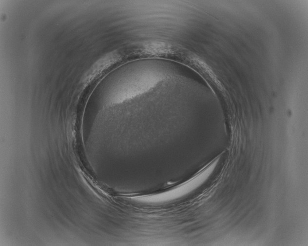 X0000085320443200703091515