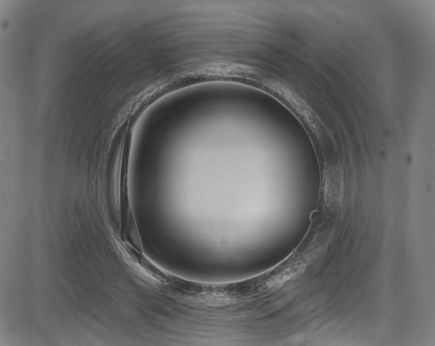 X0000085320445200703091515