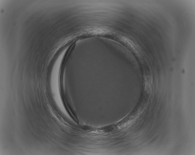 X0000085320447200703091515