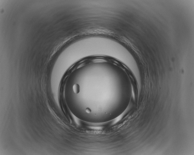 X0000085320448200703091515