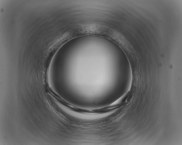 X0000085320450200703091515