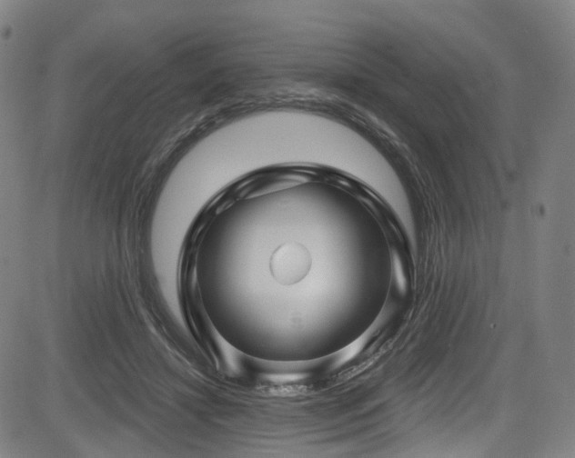 X0000085320452200703091515