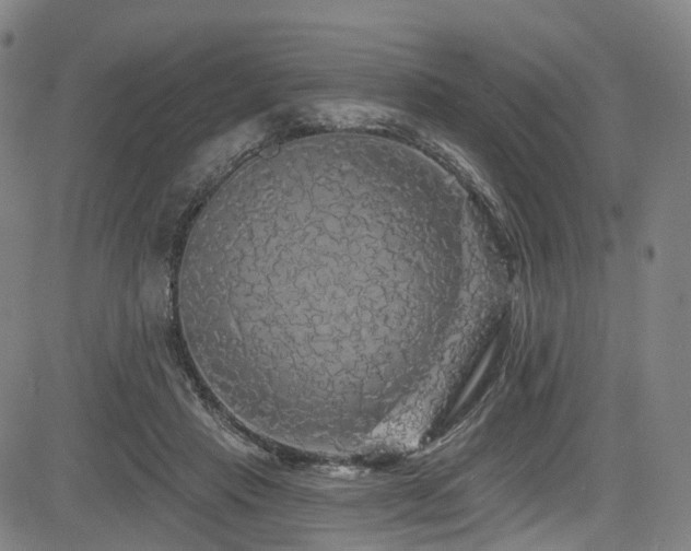 X0000085320453200703091515