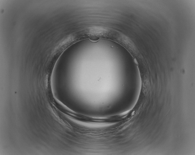 X0000085320454200703091515