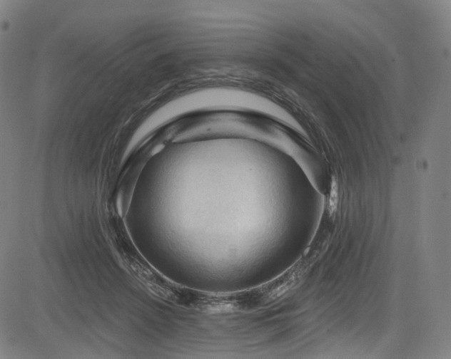 X0000085320456200703091516