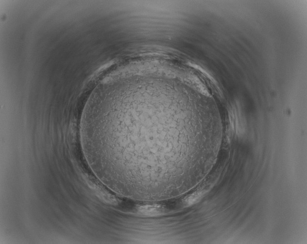 X0000085320461200703091516