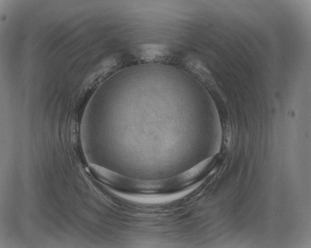 X0000085320470200703091516