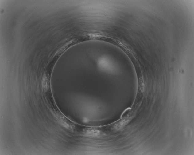 X0000085320471200703091516