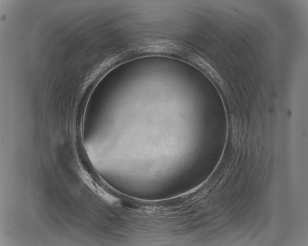 X0000085320482200703091515