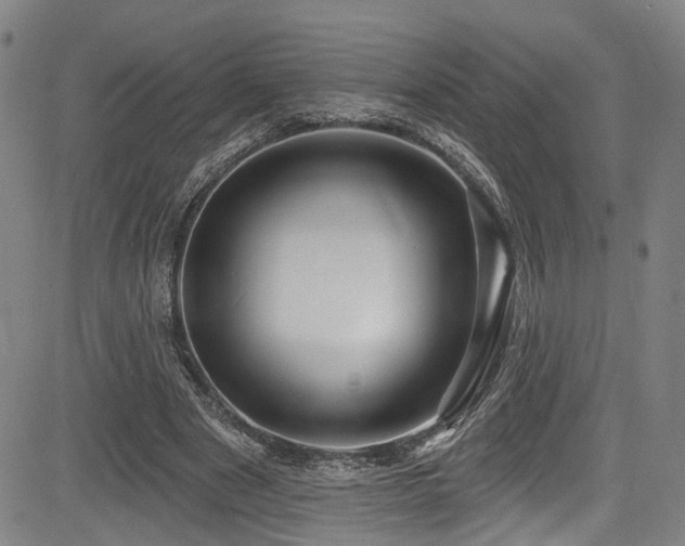 X0000085320489200703091515