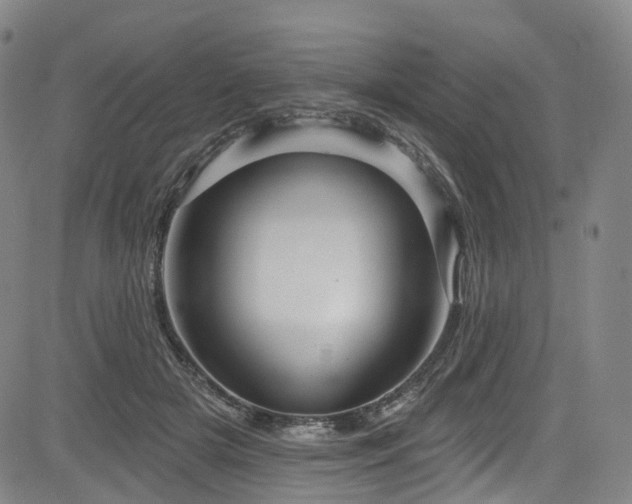X0000085320505200703091515
