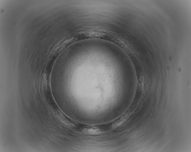 X0000085320506200703091515
