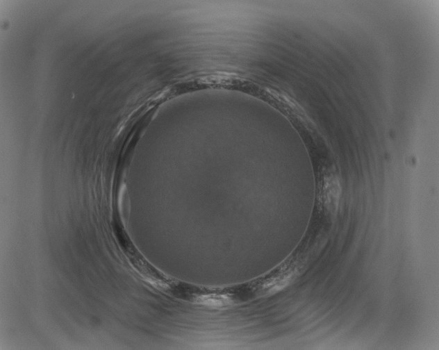 X0000085320508200703091515