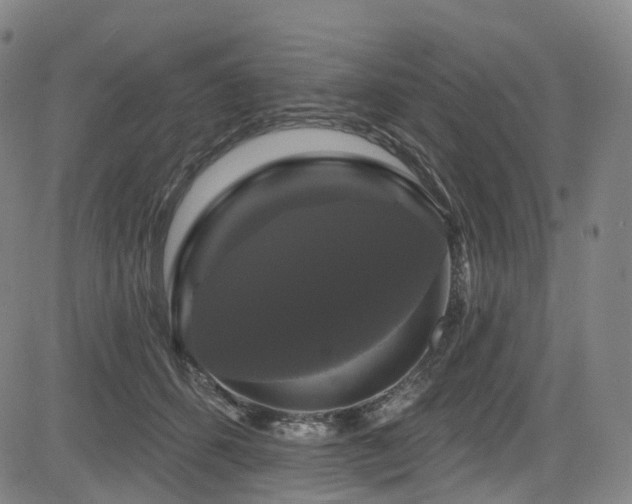 X0000085320512200703091515