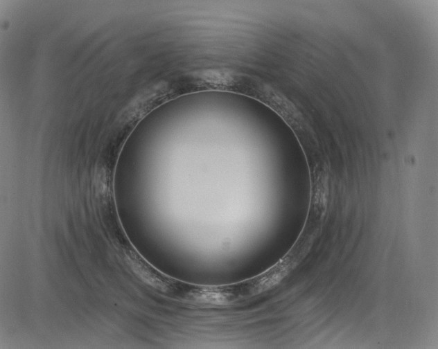 X0000085320518200703091515