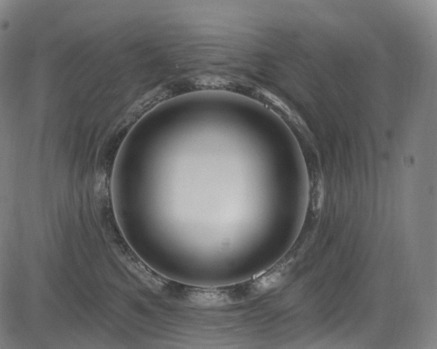 X0000085320521200703091514