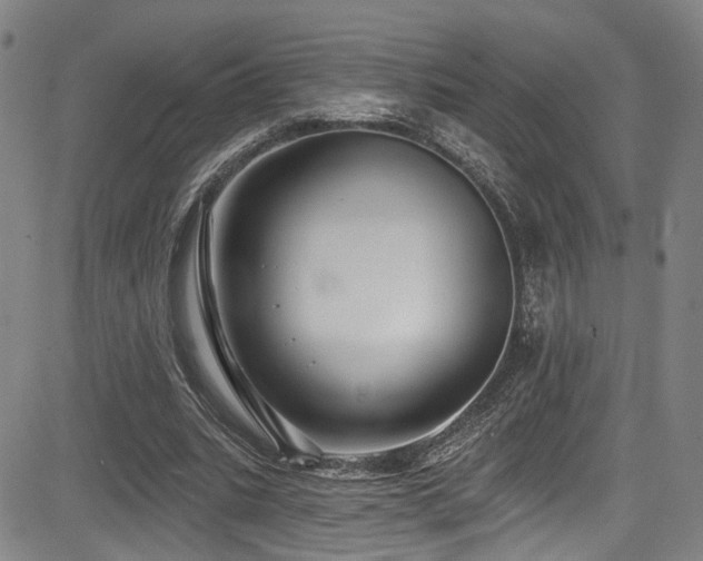 X0000085320535200703091514