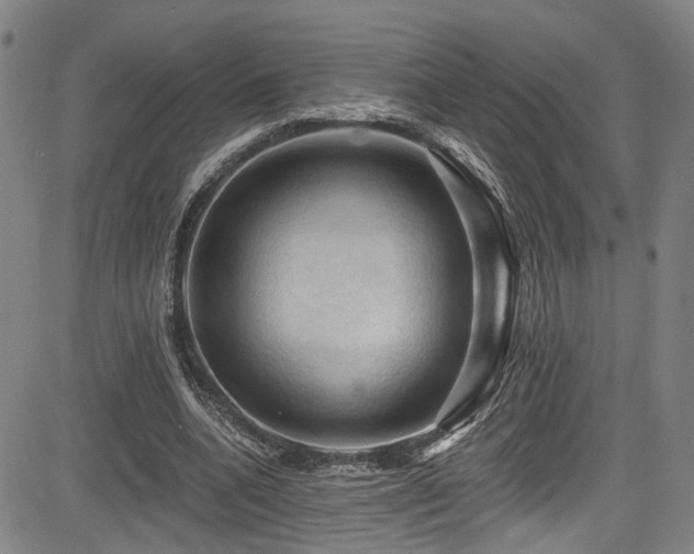 X0000085320536200703091514