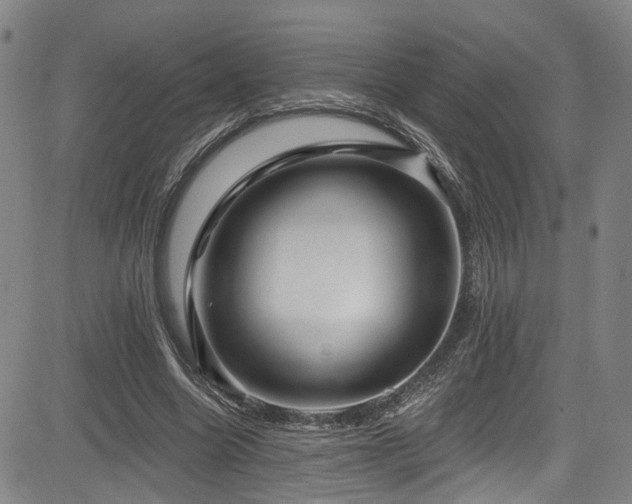 X0000085320538200703091514