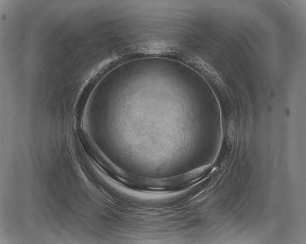X0000085320540200703091514