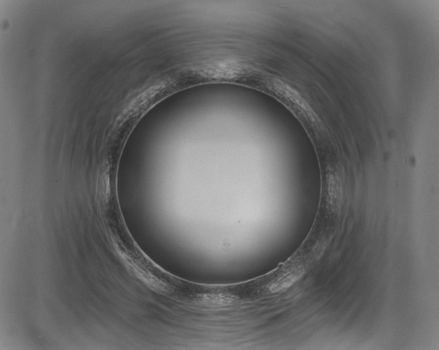 X0000085320541200703091514